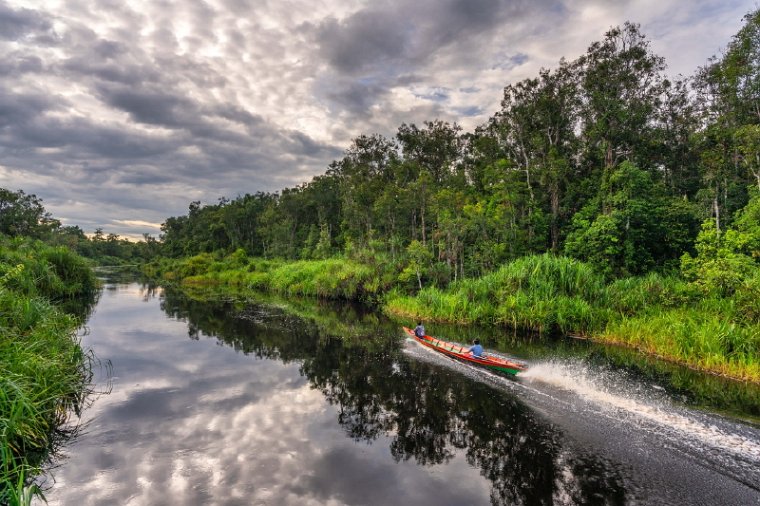 122 Tanjung Puting NP.jpg